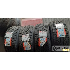 Riken Extra Load Snow 225/45/17 IARNA